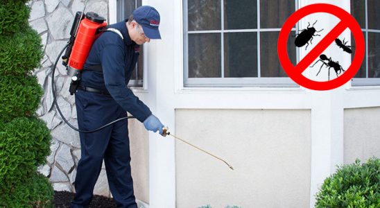 Çubuk Dezenfeksiyon böcek ilaçlama ve haşere kontrolü — ilaclama-tr.com